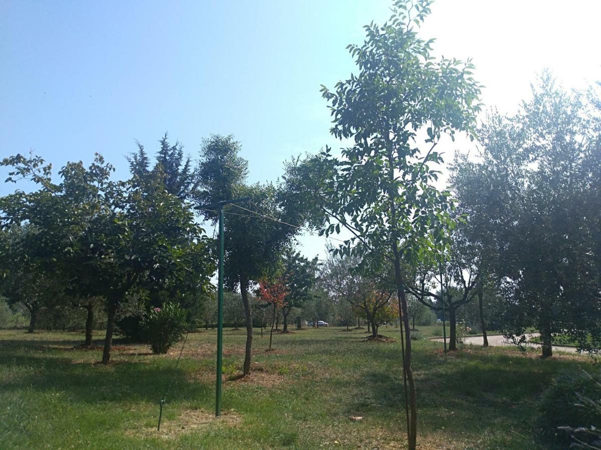Apartment Ivana Новиград Екстериор снимка